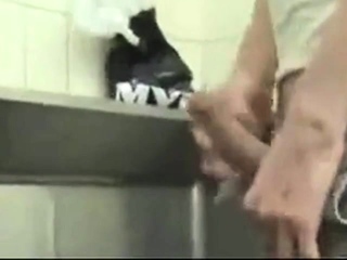 Public Restroom Blowjob